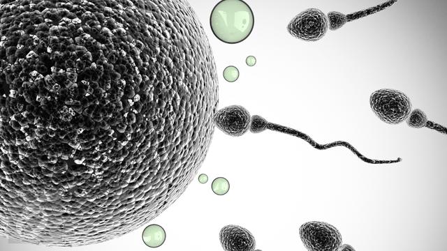 Ilustrasi air mani mengandung sperma (Ilustrasi: iStockphoto)