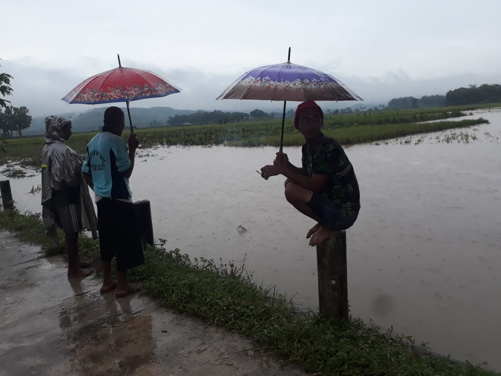 Warga menyaksikan sawah yang terendam karena hujan deras kemarin. Banjir ini menjadi langganan Desa Pandanarum, Kabupaten Blitar. (Foto: Choirul Anam/Ngopibareng.id)