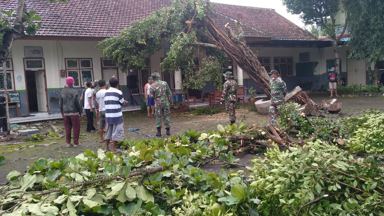 Anggota Kodim 0825 Banyuwangi bahu membahu dengan warga membersihkan pohon tumbang akibat bencana yang terjadi Jumat kemarin. (Foto: Istimewa)