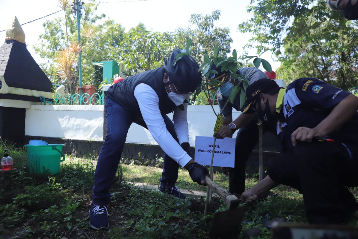 Penanaman bibit Pohon Pule yang dilakukan oleh Pemkot Malang untuk menambah besaran RTH. (Foto: Istimewa)