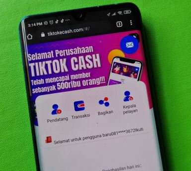 Ilustrasi aplikasi TikTok Cash. (Foto: Istimewa)