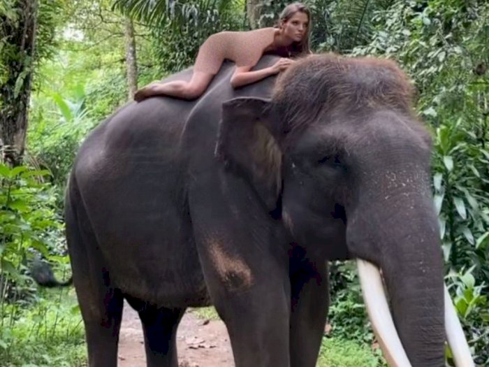 Model asal Rusia, Alesya Kafelnikova, pose telanjang di atas punggung gajah. (Foto: Instagram)