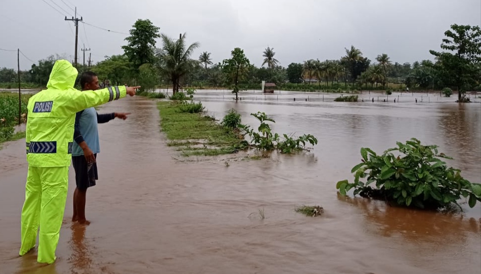 Petugas Polsek Wongsorejo, Banyuwangi, mengecek area persawahan yang tergenang banjir. (Foto: Istimewa)