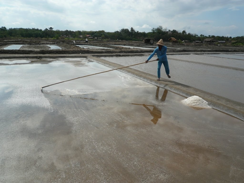 Petani di Kabupaten Probolinggo sedang memanen garam di tambaknya, musim kemarau, 2020 lalu. Sekarang pada musim hujan mereka libur berproduksi. (Foto: Ikhsan Mahmudi/Ngopibareng.id)