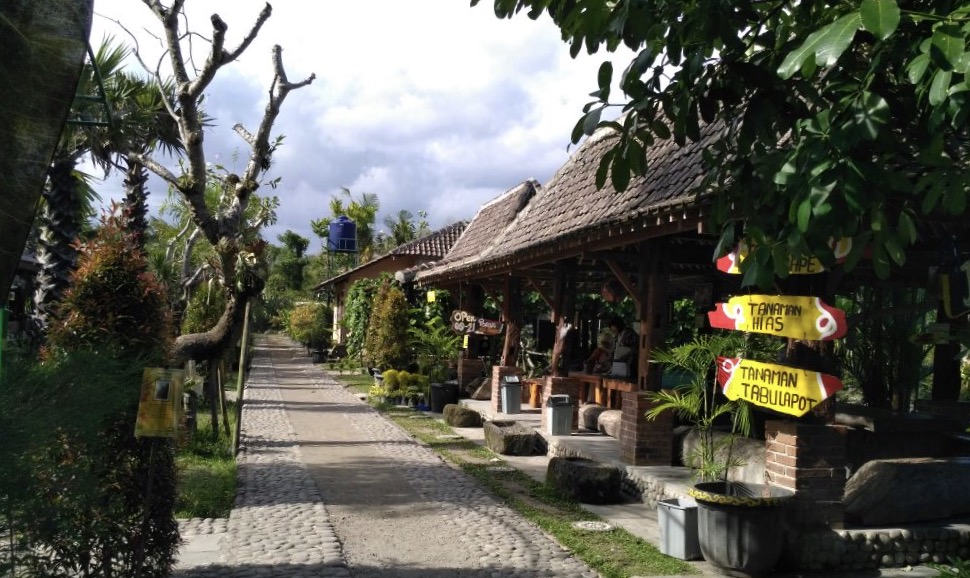 ASRI: Kampung Flory di Sleman Yogyakarta yang menawarkan eksotisme kehidupan desa. (Foto istimewa)