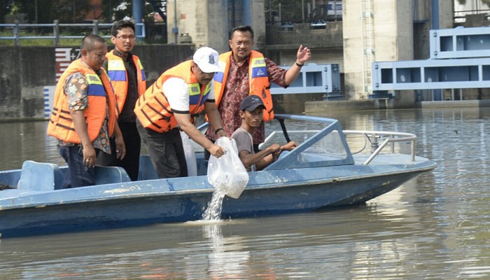 Wagub Jatim Saifullah Yusuf melepaskan bibit ikan saat Ruwatan Kali Surabaya