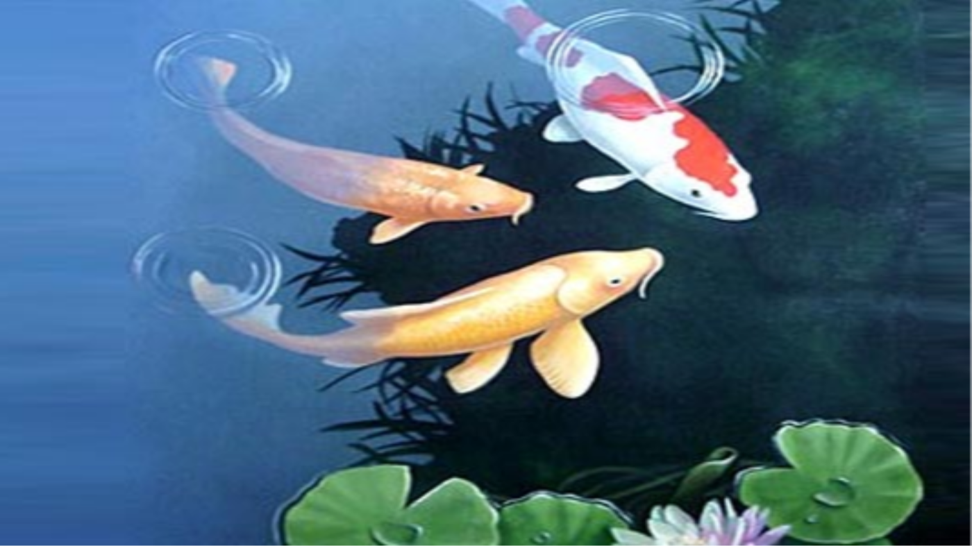Tiga Ekor Ikan, Kisah Penjala