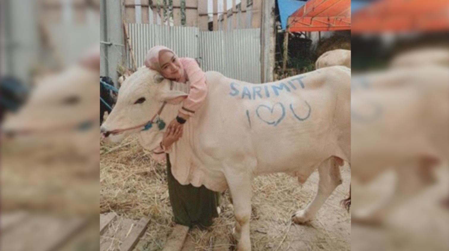 Ria Ricis foto bersama sapi miliknya sebelum disembelih pada Idul Adha hari ini, Minggu 11 Agustus 2019.