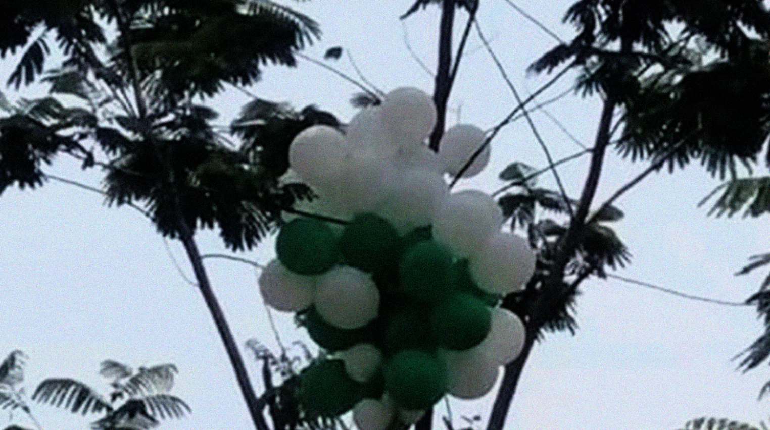 Sekumpulan balon turun dari langit yang menjadi rebutan warga Manggis, Kecamatan Puncu, Kediri. Balon diduga berisi zat kimia yang membakar kulit wajah, tangan, dan tubuh warga yang berebut. (Foto: Istimewa)