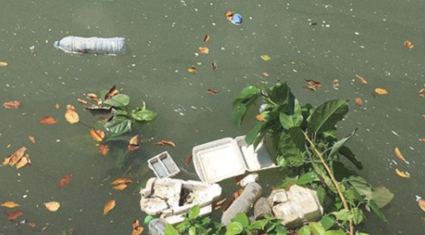 Sampah plastik yang mengambang di Sungai Kalimas Surabaya (Foto: Ecoton/Ngopibareng.id)