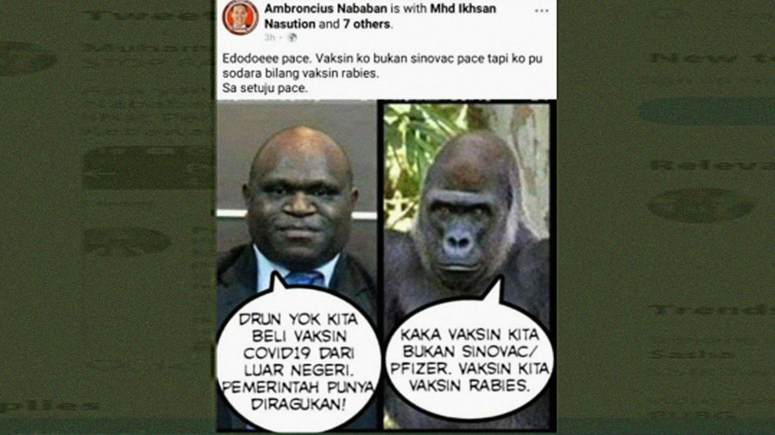 Ambroncius Nababan sandingkan foto Natalius Pigai dengan gorila di akun Facebook miliknya. (Foto: Twitter @NataliusPigai2)