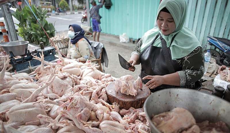 Ilustrasi ayam potong di sebuah pasar. (Foto: Istimewa)