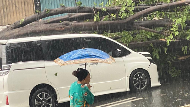 Mobil yang ditumbangi keluarga Slamet Rahardjo dan Erros Djarot, bagian depan ringsek tertimpa pohon besar di Jl. Bintaro Raya, Jakarta Selatan, Minggu siang. (Foto:Istimewa)
