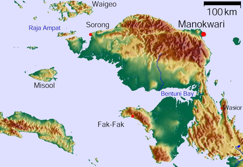 Ilustrasi peta Kabupaten Manokwari. (Foto: Wikipedia)