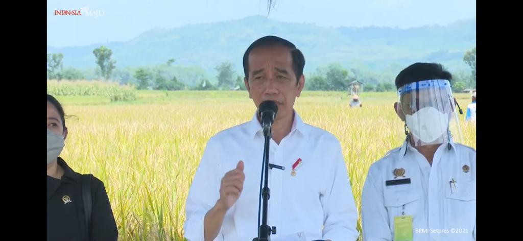 Presiden RI, Joko Widodo saat melihat panen raya di Desa Kanigoro, Kecamatan Pagelaran, Kabupaten Malang (Youtube: Setpres RI)