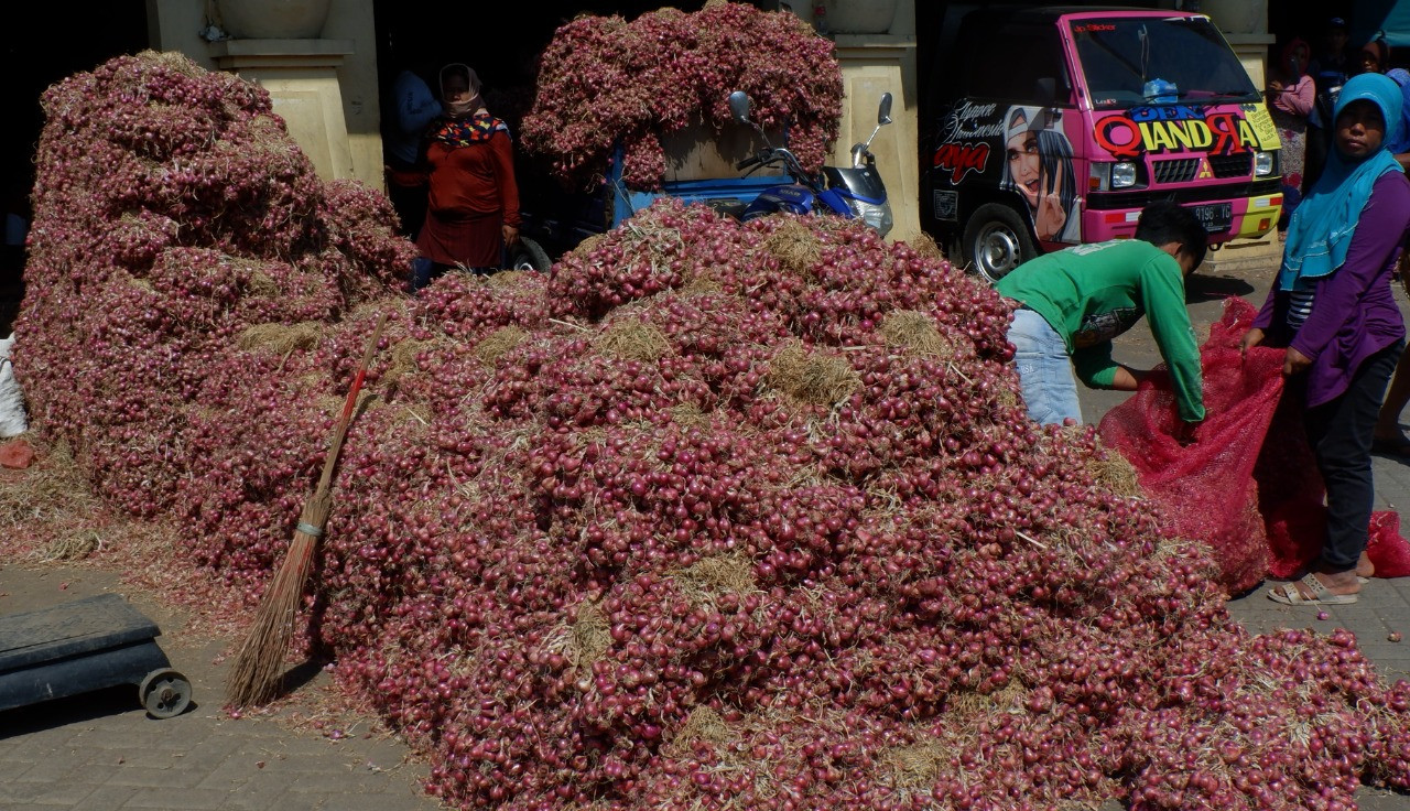Harga bawang merah hari ini yogyakarta 2021