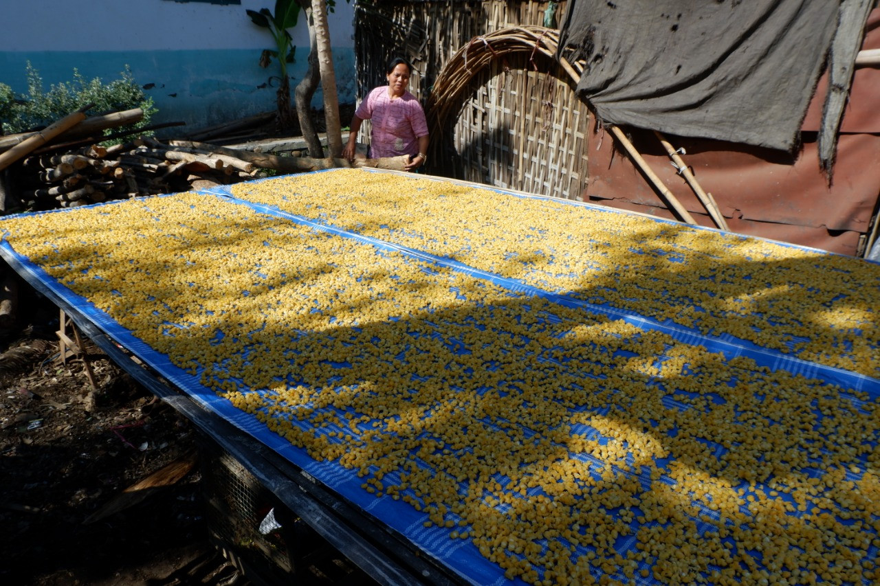 Usai direbus, jagung dijemur di terik matahari untuk kemudian digoreng menjadi marning. (Foto: Ikhsan Mahmudi/Ngopibareng.id)