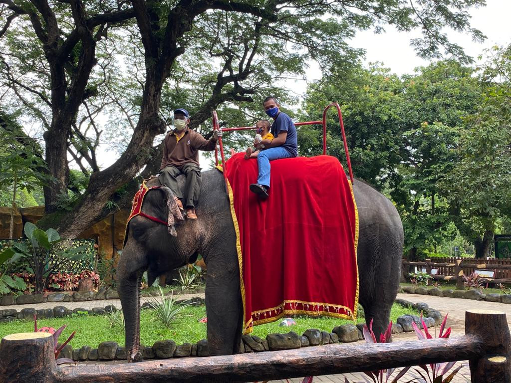 Tunggang Gajah jadi wahana favorit pengunjung di KBS ketika libur lebaran. (Foto: Istimewa)
