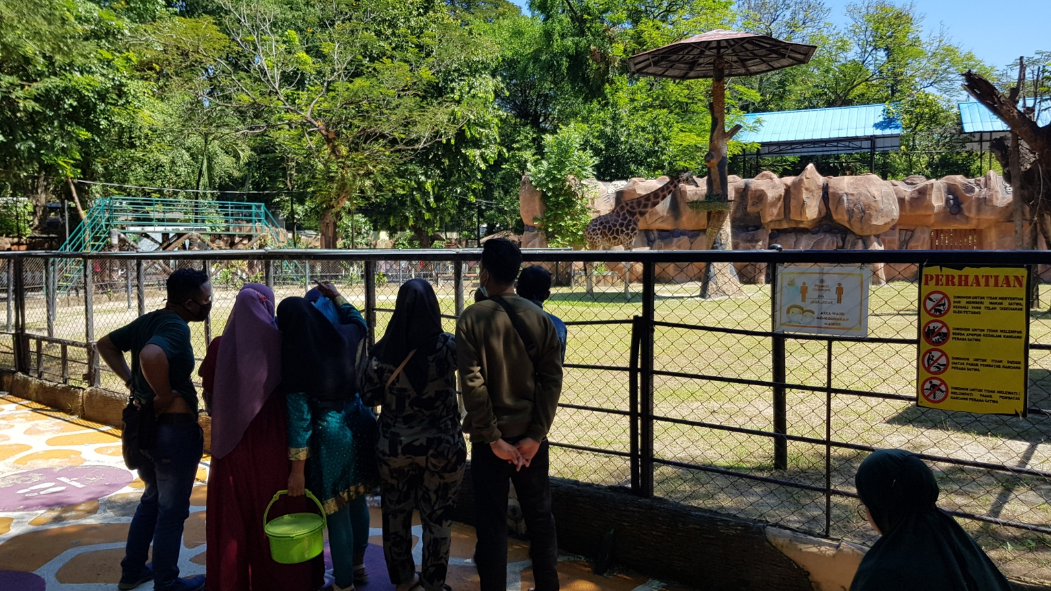 Pengunjung saat melihat satwa Jerapah di Kebun Binatang Surabaya, Jumat 14 Mei 2021. (Foto: Fariz Yarbo/Ngopibareng.id)