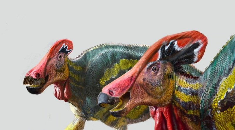 Peneliti menemukan Dinosaurus spesies baru di Meksiko. (Foto: reuters)