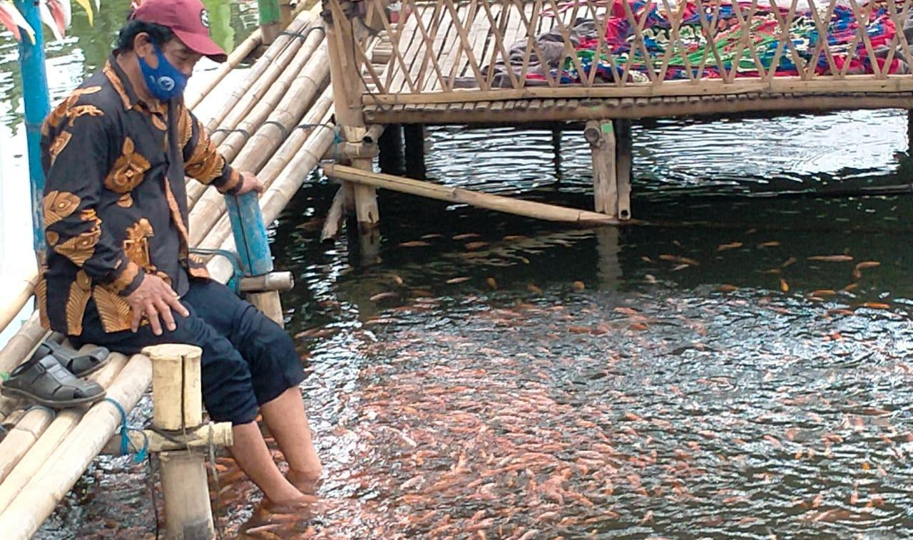 Pengunjung di Sumber Sentong, Kota Probolinggo sedang menikmati gigitan ikan-ikan nila merah. (Foto: Ikhsan Mahmudi/Ngopibareng.id)