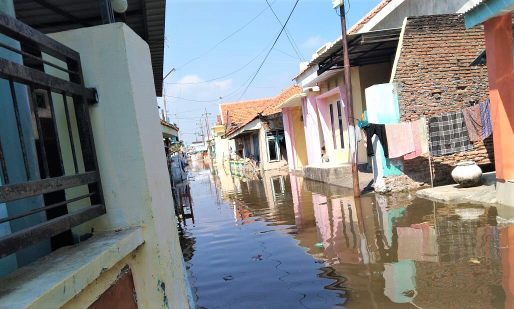 Desa Kalibuntu, Kecamatan Kraksaan, Kabupaten Probolinggo dilanda banjir rob. (Foto: Ikhsan Mahmudi/Ngopibareng.id)