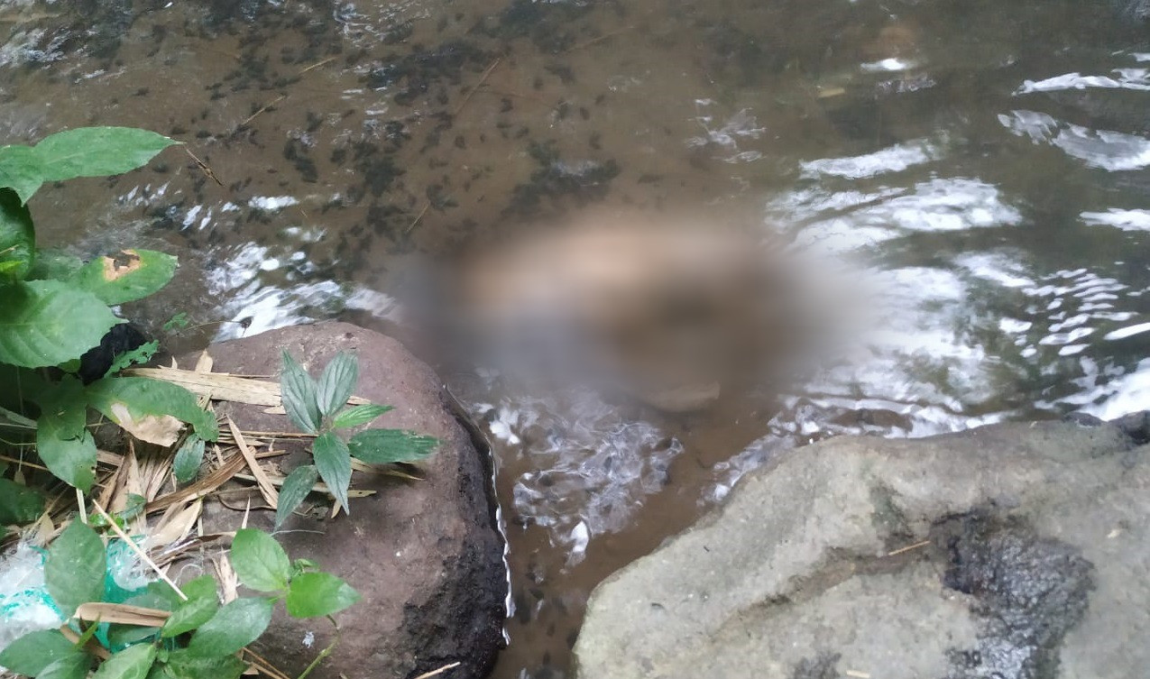 Mayat bayi perempuan yang diduga baru lahir ditemukan mengapung di Sungai di Mojokerto. (Foto: Istimewa)