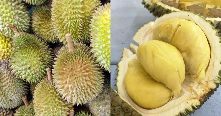 Buah durian bisa jadi penyebab asam urat jika dikonsumsi berlebihan. (Foto: Istimewa)