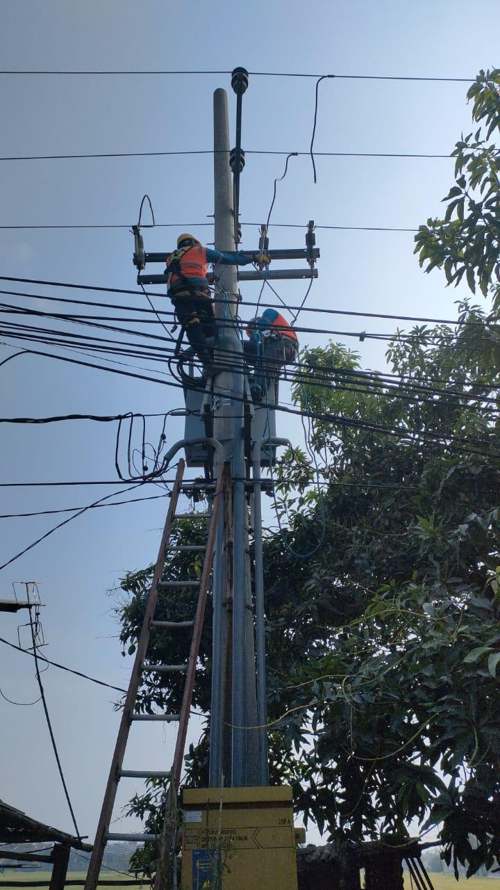 Petugas dari ULP PLN Pasuruan melakukan perbaikan jaringan