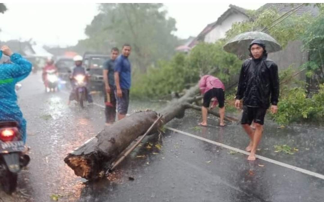 Kondisi setelah korban di evakuasi oleh warga, pohon masih melintang di jalan (Foto : Istimewa)