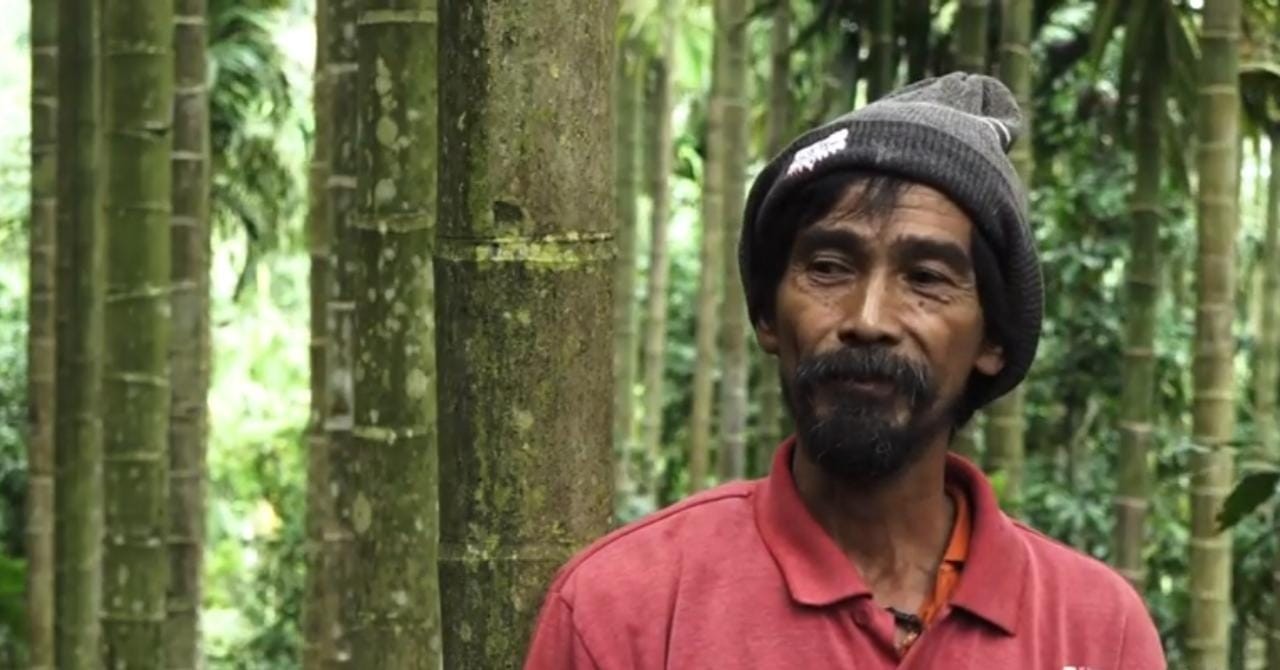 Pak Daim, Pelestari Hutan Lereng Gunung Lemongan (Foto : Istimewa)