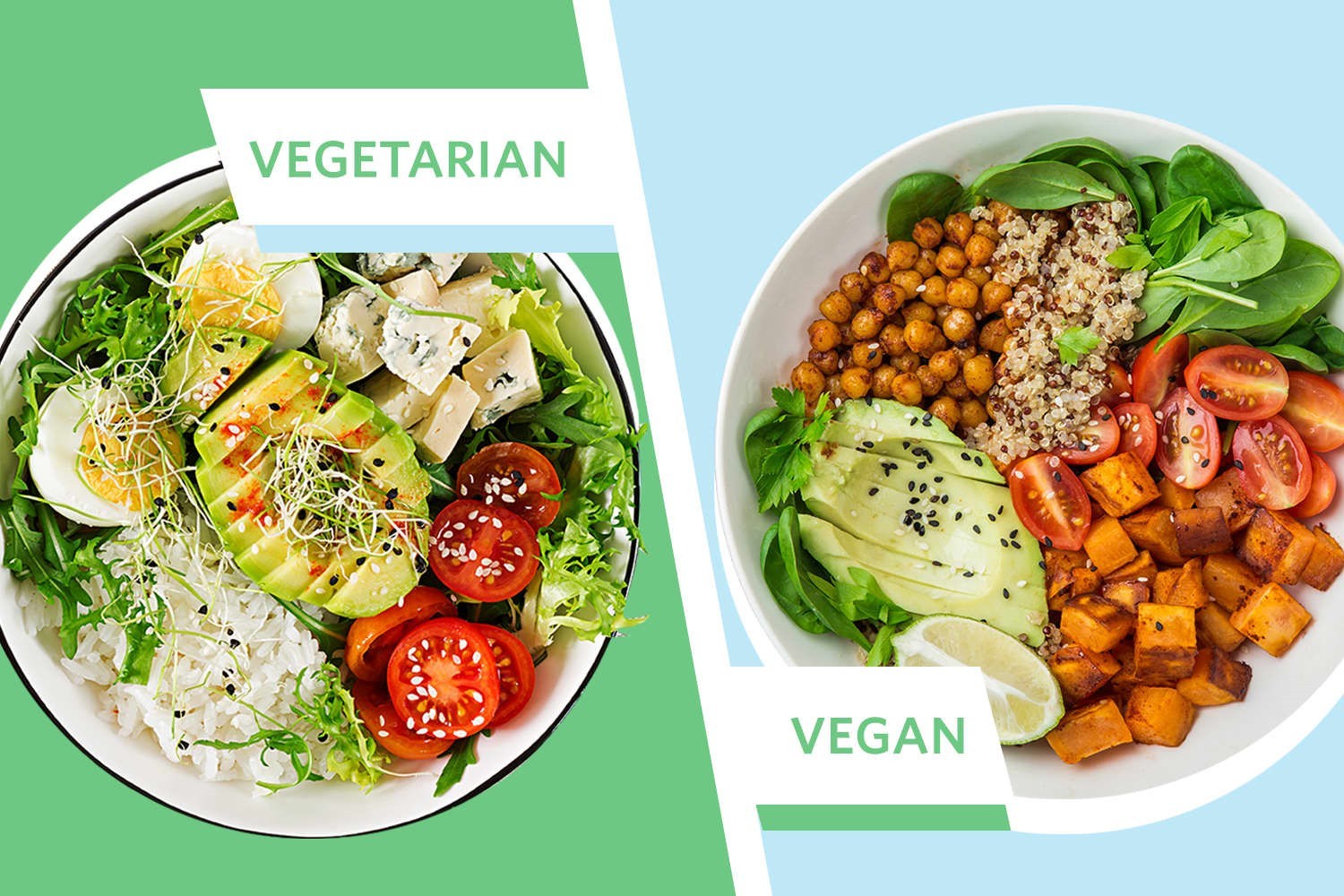 Ilustrasi menu makanan vegetarian dan vegan. (Foto: Google)