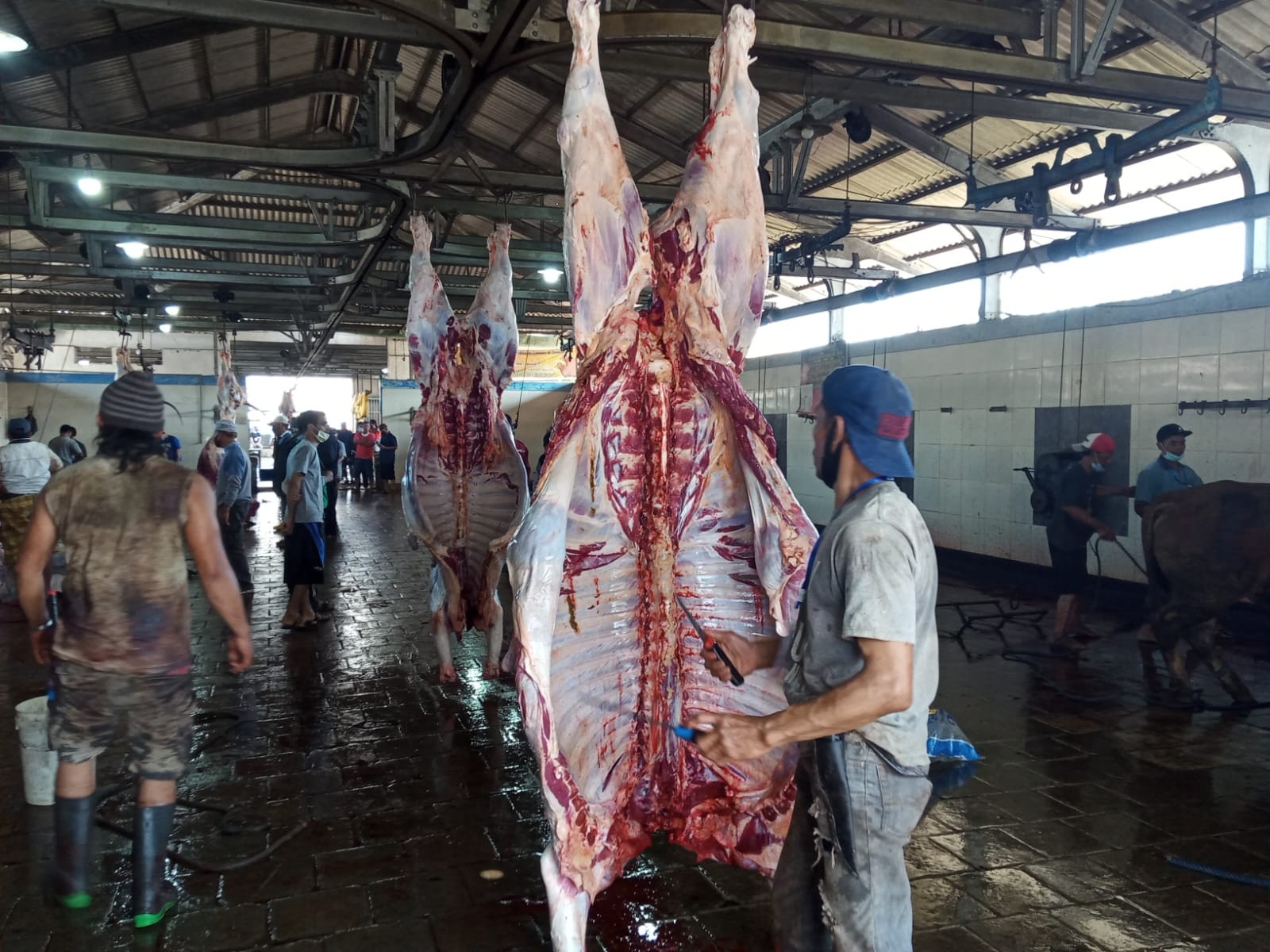 Proses penyembelihan hewan kurban di RPH Gadang, Kota Malang (Foto: Lalu Theo/ngopibareng.id)