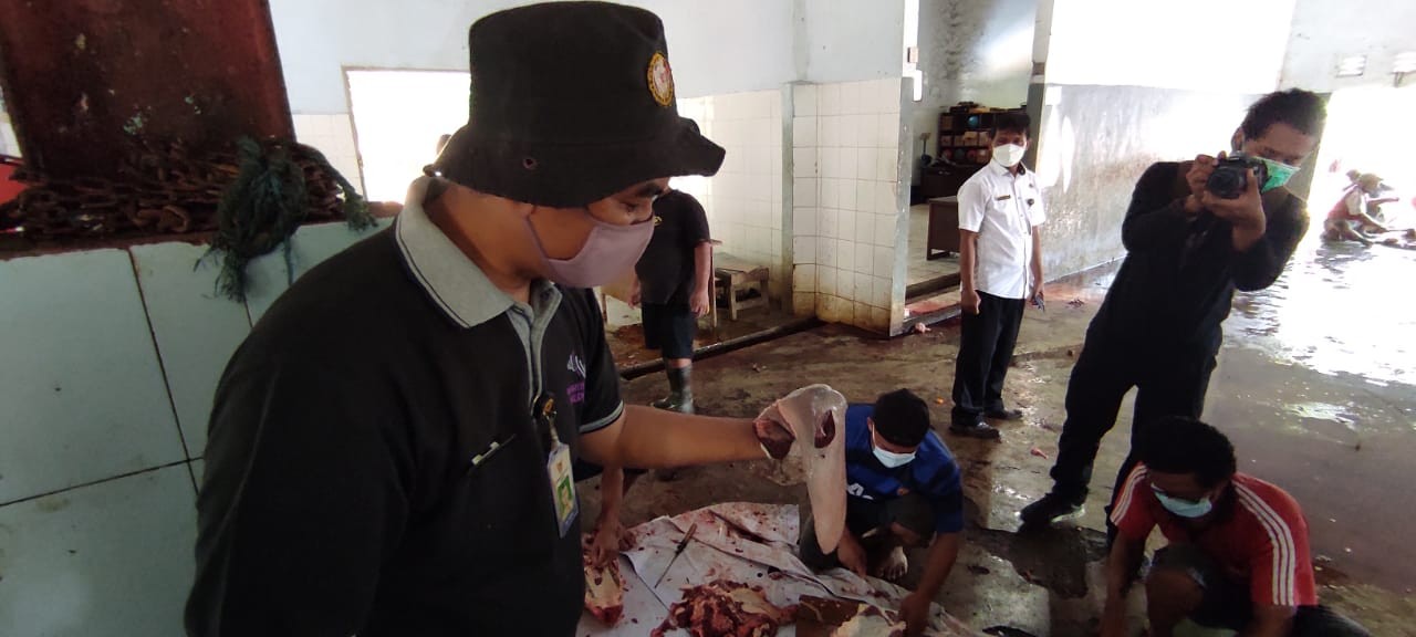 Petugas saat mengecek hati sapi kurban yang disembelih di Rumah Potong Hewan Kediri. (Foto: Fendhy Plesmana/Ngopibareng.id)