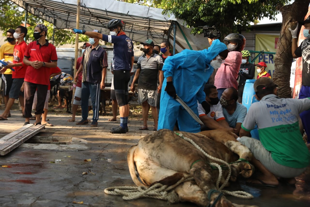 Sembari bersepeda Gubernur Jawa Tengah Ganjar Pranowo mengecek pelaksanaan pemotongan hewan kurban di Semarang. (Foto: Istimewa)