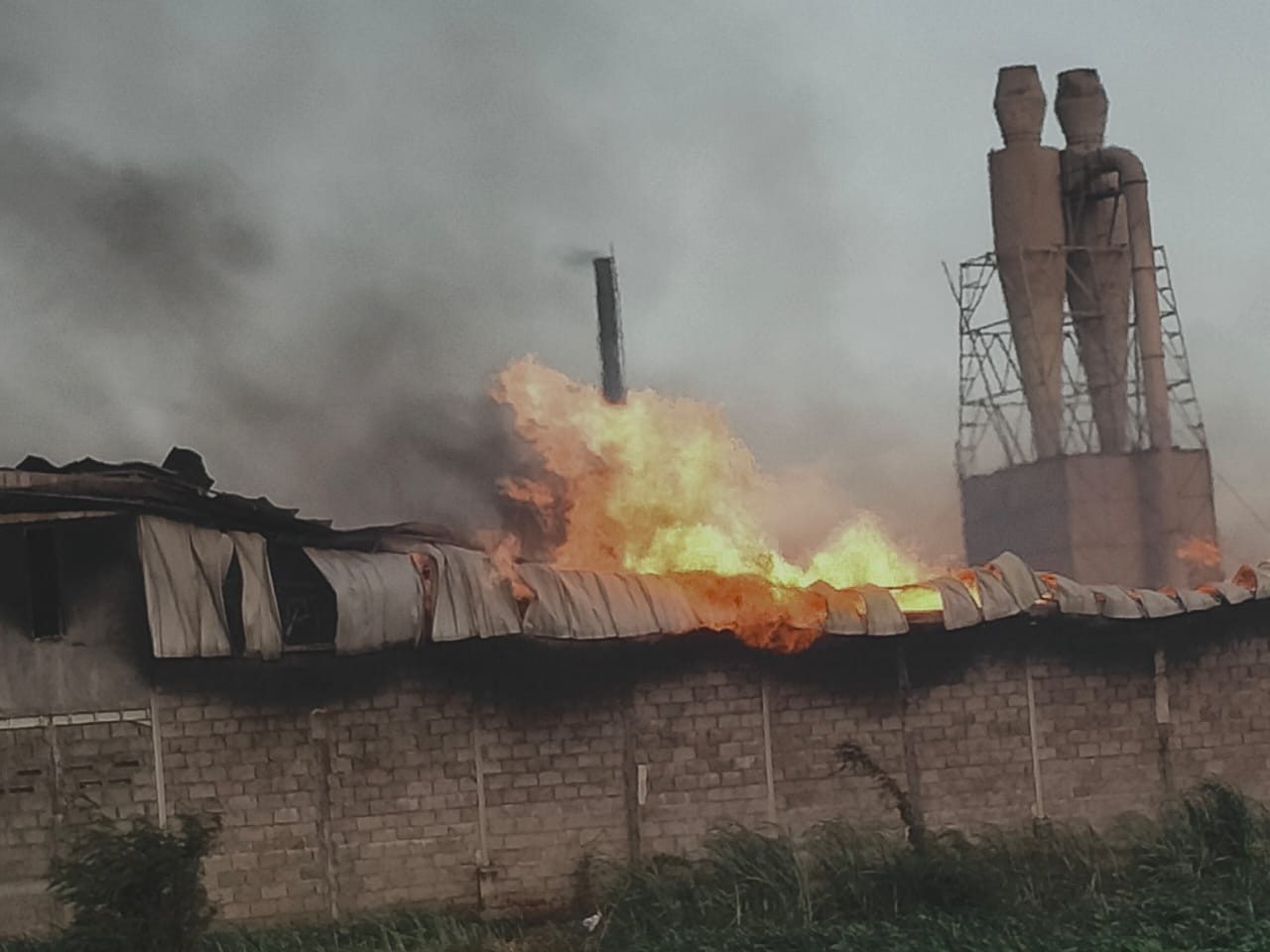 Pabrik kayu lapis, CV Graha Papan Lestari di Jalan Prof. HAMKA, Kota Probolinggo terbakar. (Foto: Ikhsan Mahmudi/Ngopibareng.id)
