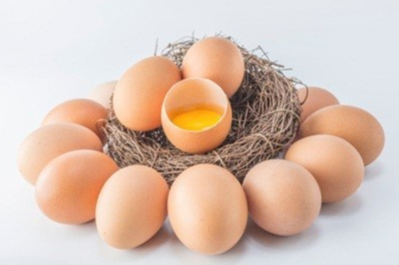 Ilustrasi telur yang mudah diperoleh dan dikreasikan sesuai selera. (Foto: Istimewa)