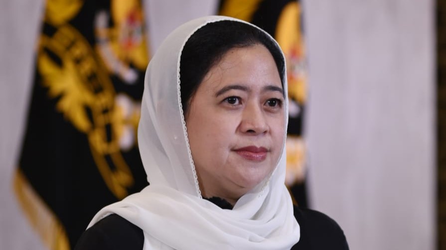 Ketua DPR RI Puan Maharani (foto: kistimewa)