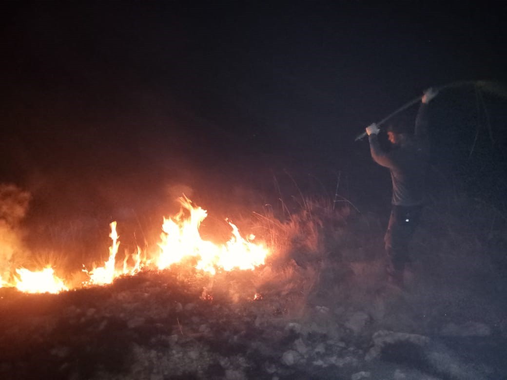 Petugas Balai Taman Nasional Komodo Berusaha Memadamkan Api di Laju Pemali. (Foto: http://ksdae.menlhk.go.id/)