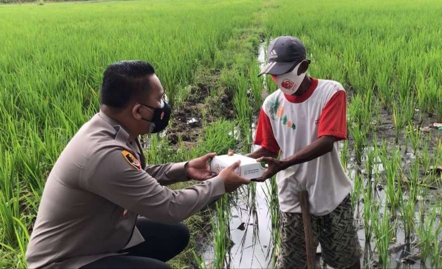 Kapolresta Banyuwangi AKBP Nasrun Pasaribu memberikan makanan kepada salah satu petani di wilayah Rogojampi (Foto: Istimewa)