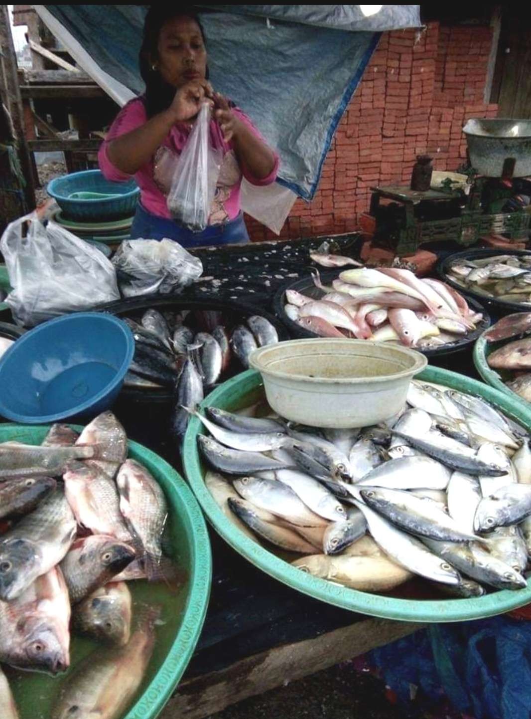 Pedagang ikan di Pasar Kota Pasuruan. (Foto: Lailiyah Rahmawati/Ngopibareng.id)