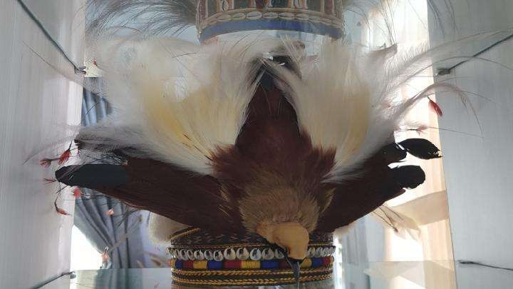 Ilustrasi mahkota cendrawasih papua. (Foto: Papua.go.id)