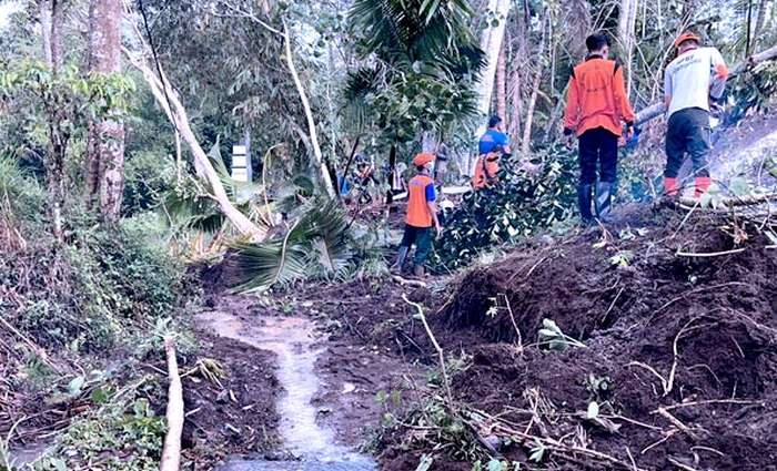 Tim Reaksi Cepat (TRC) BPBD Bondowoso membersihkan material longsoran dan pohon tumbang menutupi jalan penghubung Desa Gadingsari dan Sumbersuko, Kecamatan Curahdami. (foto: guido/Ngopibareng.id)