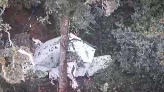 Kondisi pesawat Rimbun Air hilang kontak di Papua merupakan pesawat berjenis Otter 300. (Foto: Istimewa))