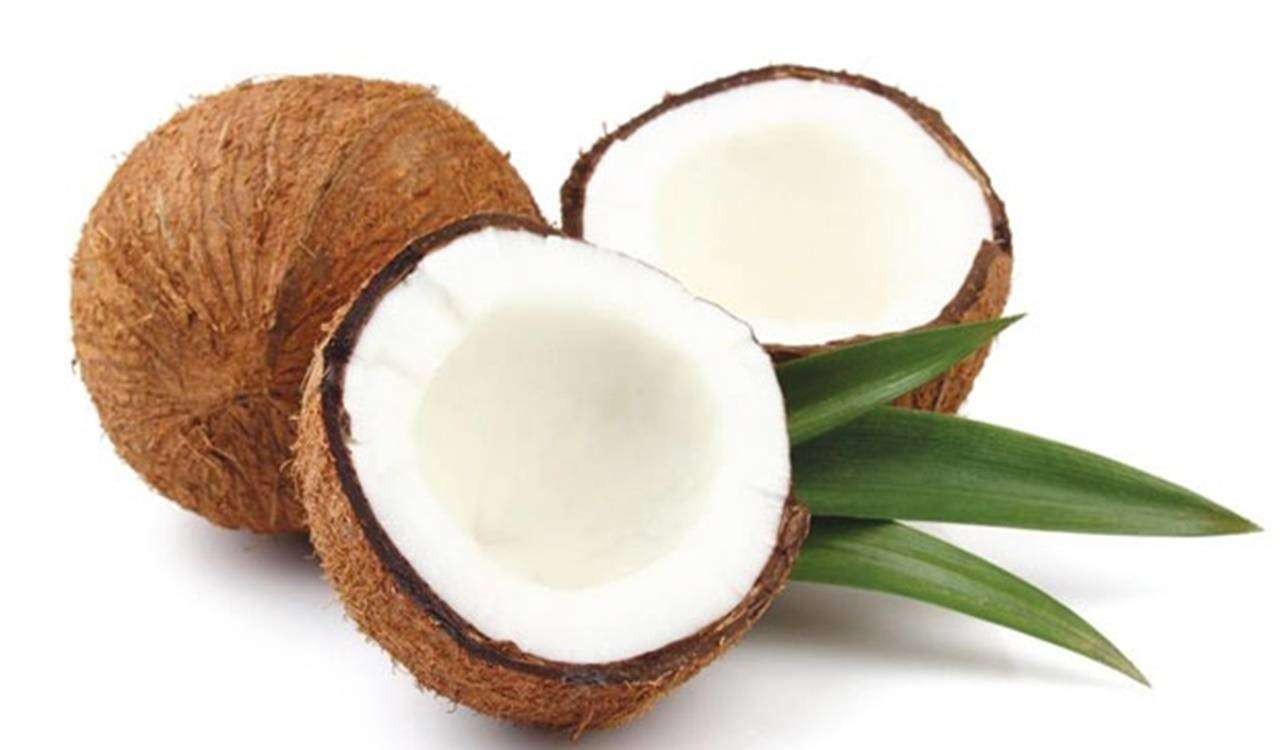 Ilustrasi buah kelapa. (Foto: Istimewa)