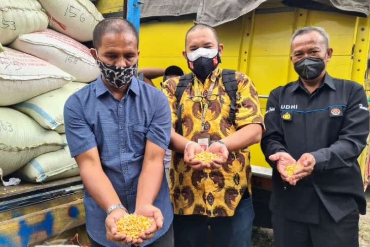 Bantuan jagung untuk bahan pakan ternak ayam dari Presiden Joko Widodo untuk peternak ayam di Blitar, Jawa Timur, Senin 20 September 2021. (Foto: Humas Polres Blitar Kota)
