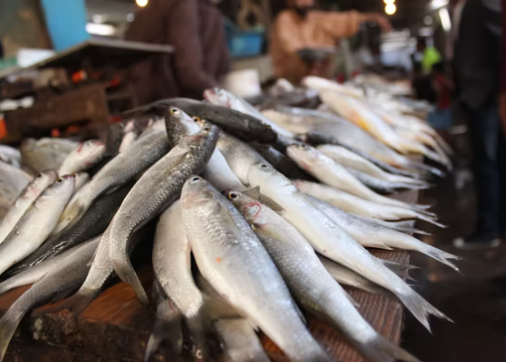 Tahun ini, Pemerintah Kabupaten Pasuruan menargetkan angka konsumsi  ikan (AKI) masyarakat sebesar 40 kilogram/kapita/orang.  (Foto: unsplash)