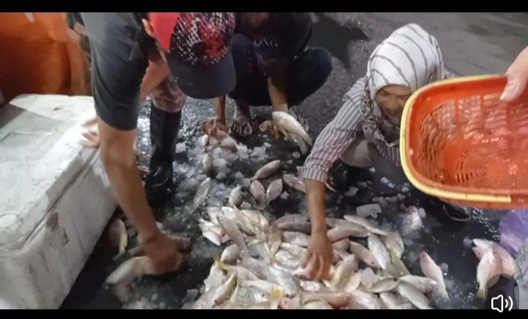 Pedagang ikan laut Pasar Setono Betek berebut pasokan. (Foto: Fendhy Plesmana/Ngopibareng.id)