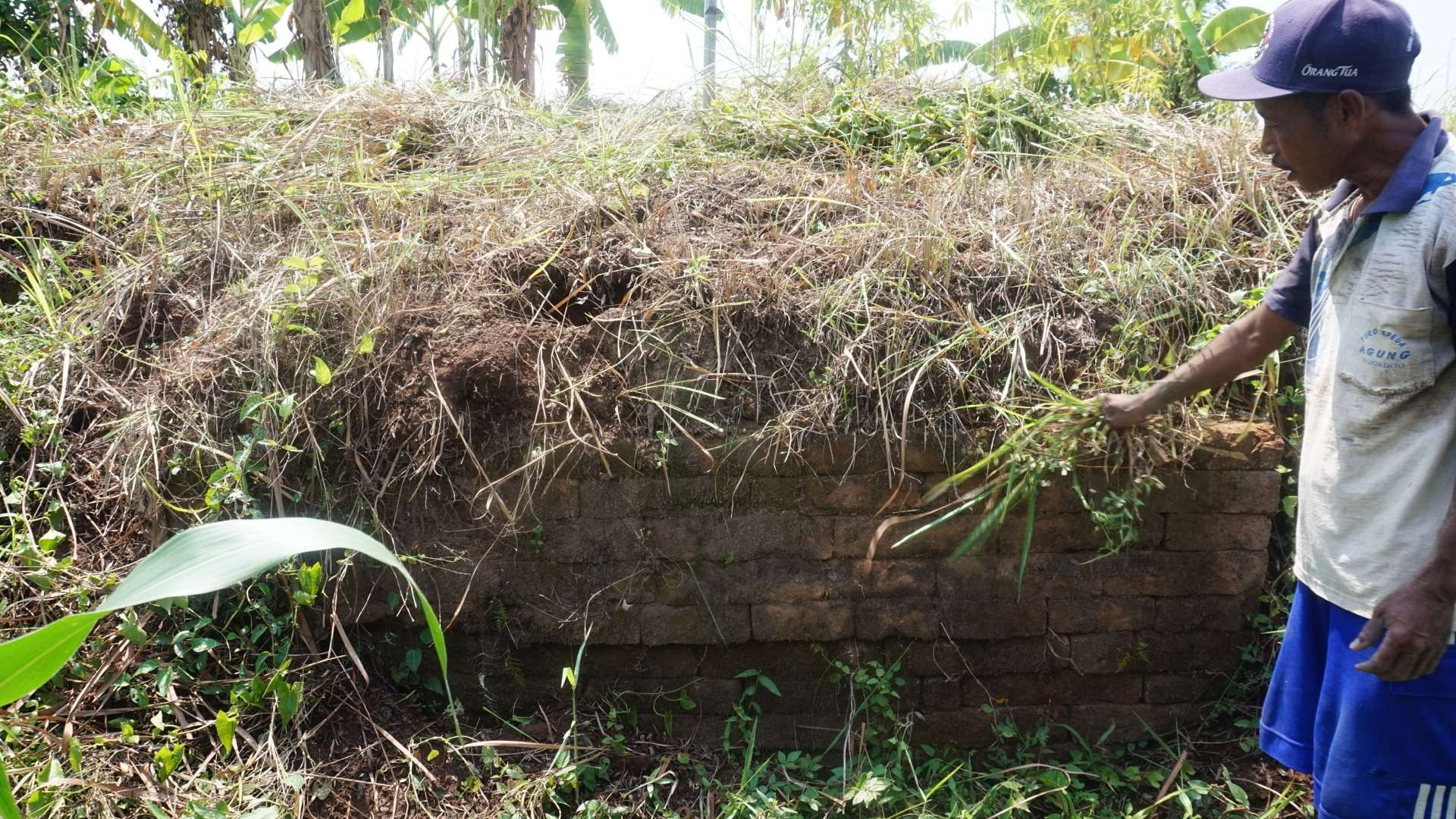 Batu bata kuno menyerupai tembok ditemukan warga.(Foto: Deni Lukmantara/Ngopibareng)