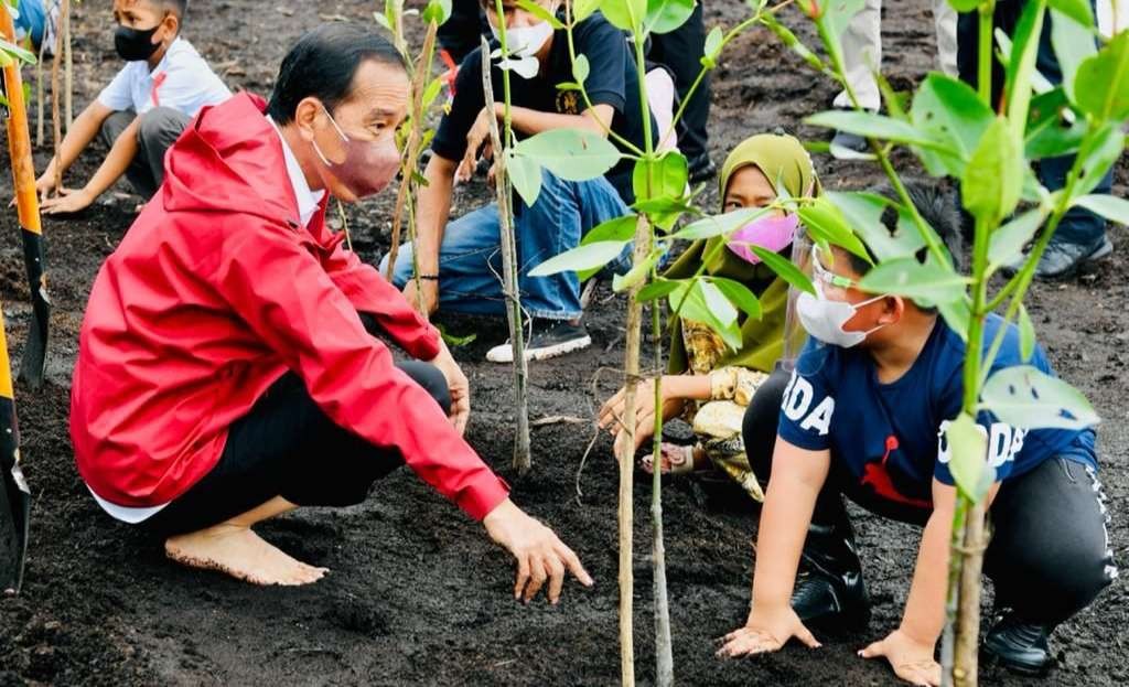 Presiden Jokowi bersama anak anak dan masyarakat Bengkalis menanam pohon mangrove di pantai Raja Kecik Bengkalis ( foto: Setpres)